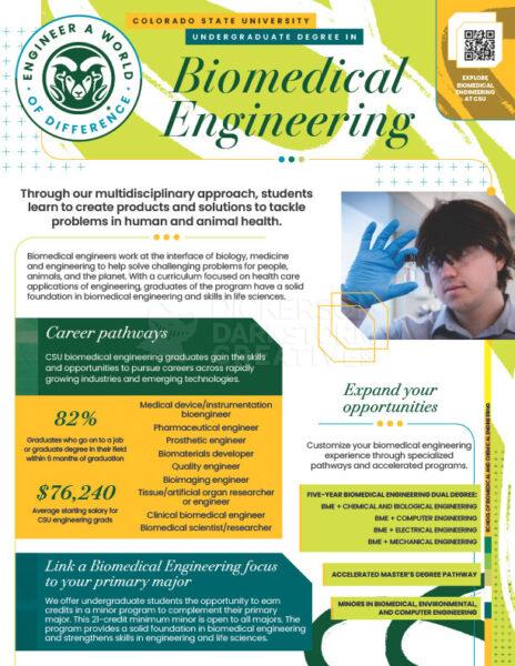 CSU Engineering, Biomedical Engineering major recruitment flyer (front)